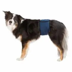 Mavebælte til hanhunde M - Div. tilbehør